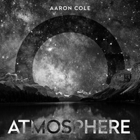 Catch You When You Fall - Aaron Cole