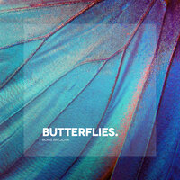 Butterflies - Boris Brejcha