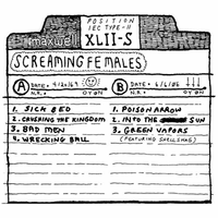 Into The Sun - Screaming Females