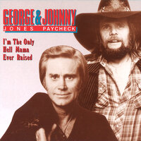 Feelin' Single, Seein' Double - George Jones