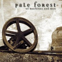 Mooncycle - Pale Forest