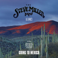 Living In The U.S.A - Steve Miller Band