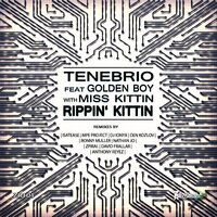 Rippin' Kittin - Tenebrio, Golden Boy, Miss Kittin