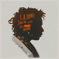 I Can't Slow Her Down - L.A. Salami