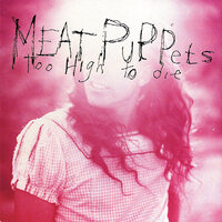 Never To Be Found - Meat Puppets