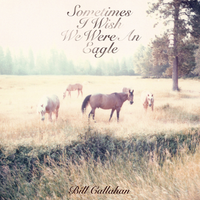 My Friend - Bill Callahan