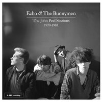 Villiers Terrace (John Peel Session) - Echo & the Bunnymen