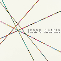 I Always Thought the World Will Catch Your Fall - Jesse Harris