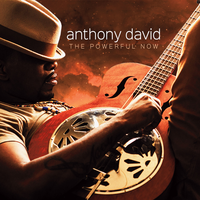 The Powerful Now - Anthony David