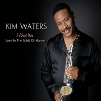 Distant Lover - kim Waters