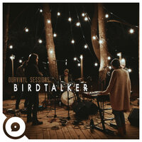 Just This (OurVinyl Sessions) - Birdtalker, OurVinyl