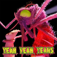 Buried Alive - Yeah Yeah Yeahs, Dr. Octagon
