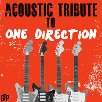 Story of My Life - Guitar Tribute Players
