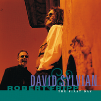 Brightness Falls - David Sylvian, Robert Fripp