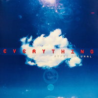 Ladybug - Everything