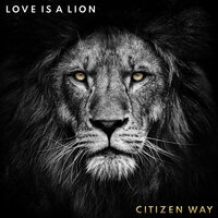 Love Is a Lion - Citizen Way