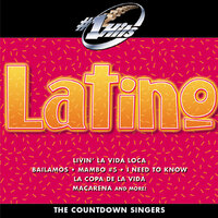 Livin' La Vida Loca - Countdown Singers