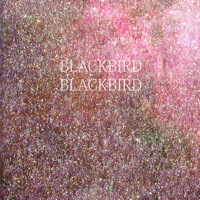 Hawaii - Blackbird Blackbird