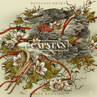 Nothing Met, Nothing Moved - Capstan