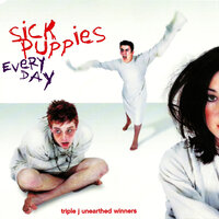 Nothing Really Matters - Sick Puppies