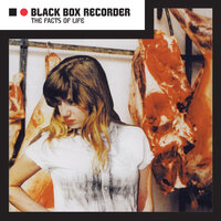 Sex Life - Black Box Recorder