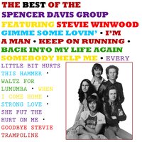 Goodbye Stevie - The Spencer Davis Group