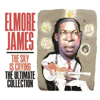 Strange Angel - Elmore James