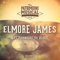 I Needed You - Elmore James