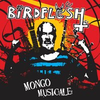 Mongoloid Wannabe - Birdflesh