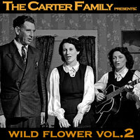 On A Hill Lone And Gray - The Carter Family