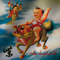 She Knows Me Too Well - Stone Temple Pilots