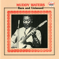 Feel Like Goin' Home - Muddy Waters, Sunnyland Slim