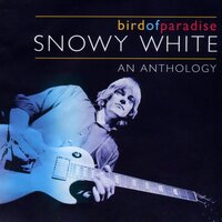 Bird of Paradise - Snowy White