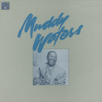 Mean Disposition - Muddy Waters, Sunnyland Slim