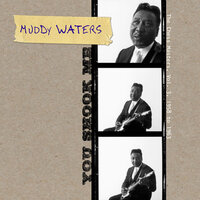 Lonesome Bedroom Blues - Muddy Waters