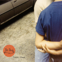 Unbearable Why - Dr. Dog