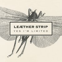 Razor Blades - Leæther Strip