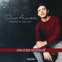 Winter in the Air - David Archuleta