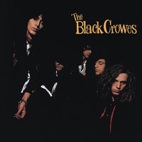Thick N' Thin - The Black Crowes