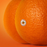 Iconic - Emotional Oranges
