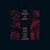 On the Wire - The Sisters of Mercy