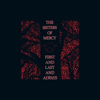 Poison Door - The Sisters of Mercy