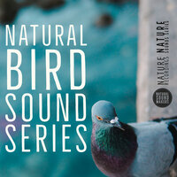 Natural Sound Makers