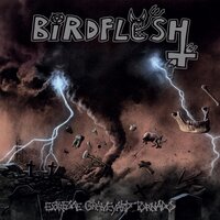 Almost Aggression - Birdflesh