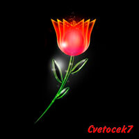 Седая ночь - Cvetocek7