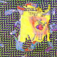 Bleed - Animal Collective