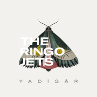 Yadigar Ejder - The Ringo Jets