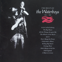 All The Things She Gave Me - The Waterboys
