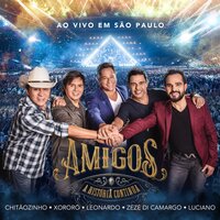 Sem Medo de Ser Feliz - Luciano, Amigos