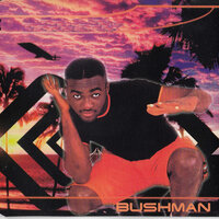No 1 Else - Bushman